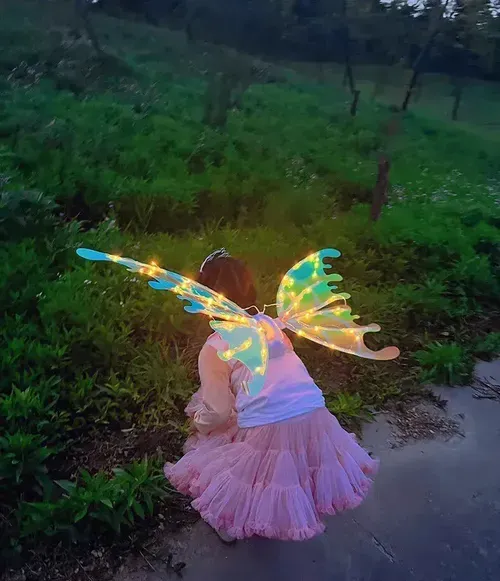 Electric Butterfly Wings Costume for Kids and Dogs with Music and Glowing Wings photo review