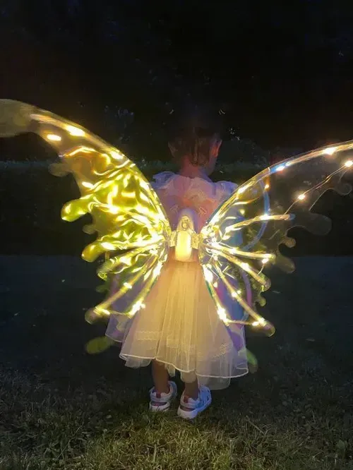 Electric Butterfly Wings Costume for Kids and Dogs with Music and Glowing Wings photo review