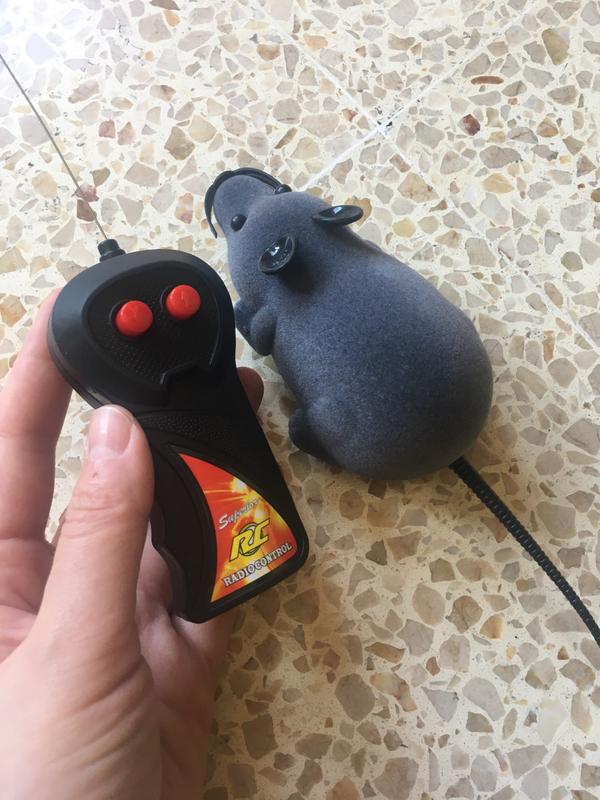 Electronic Rc Rat Mouse Toy For Pet Cat photo review