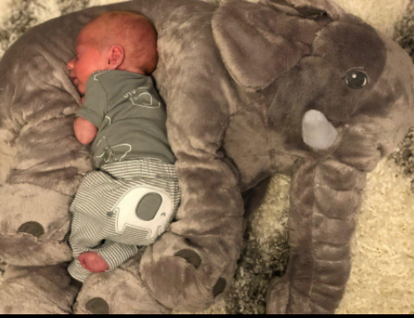 Elephant Doll Plush Toy Elephant Pillow Baby Comfort Doll photo review