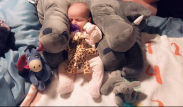 Elephant Doll Plush Toy Elephant Pillow Baby Comfort Doll photo review