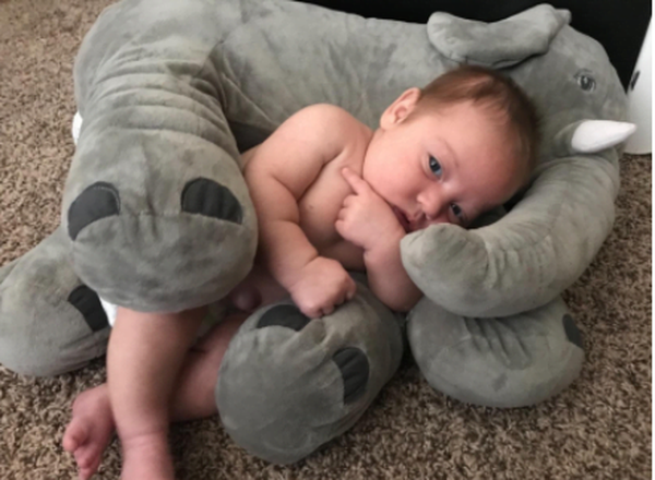 Elephant Doll Plush Toy Elephant Pillow Baby Comfort Doll photo review