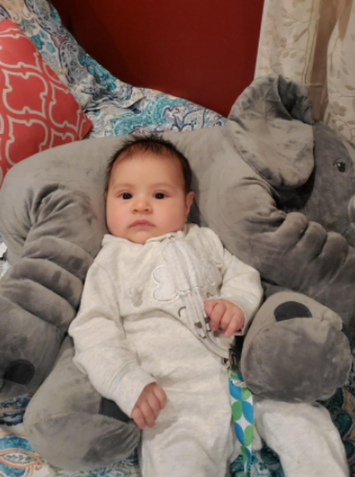 Elephant Doll Plush Toy Elephant Pillow Baby Comfort Doll photo review