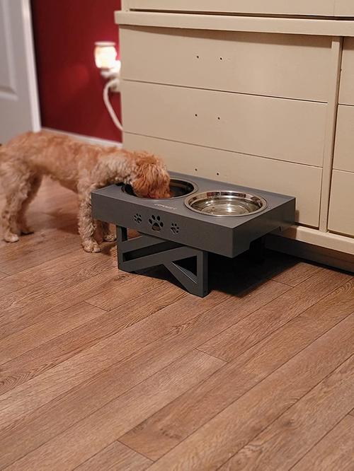 Elevated Dog Bowls with 2 Stainless Steel Bowls - Adjustable Height photo review