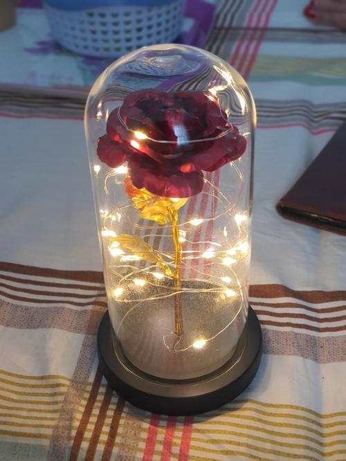 Enchanted Forever Rose Flower Lamp In Glass LED Light Christmas Decoration photo review