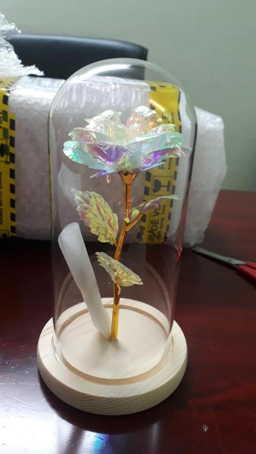 Enchanted Forever Rose Flower Lamp In Glass LED Light Christmas Decoration photo review