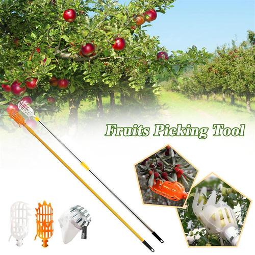 Extendable Fruit Picker | Reach High Branches Effortlessly