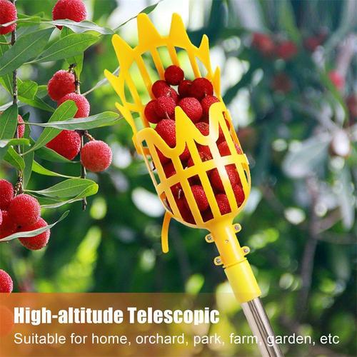 Extendable Fruit Picker | Reach High Branches Effortlessly