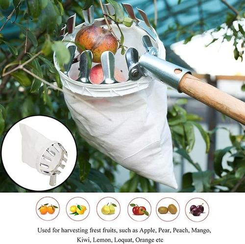 Extendable Fruit Picker | Reach High Branches Effortlessly