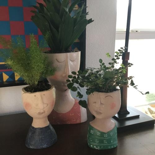 Face Planter Pot: Unique Decor & Indoor Greenery photo review