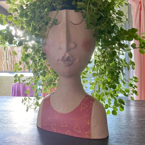 Face Planter Pot: Unique Decor & Indoor Greenery photo review