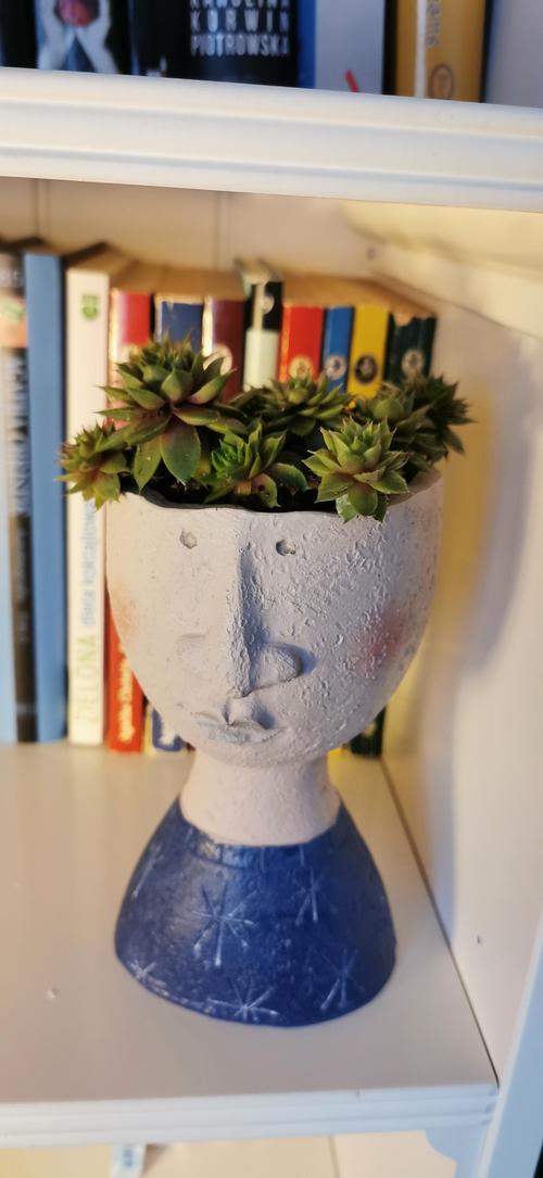 Face Planter Pot: Unique Decor & Indoor Greenery photo review