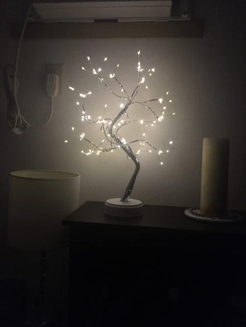 Fairy Light Spirit Tree: LED Tree Lamp for Home Decor photo review