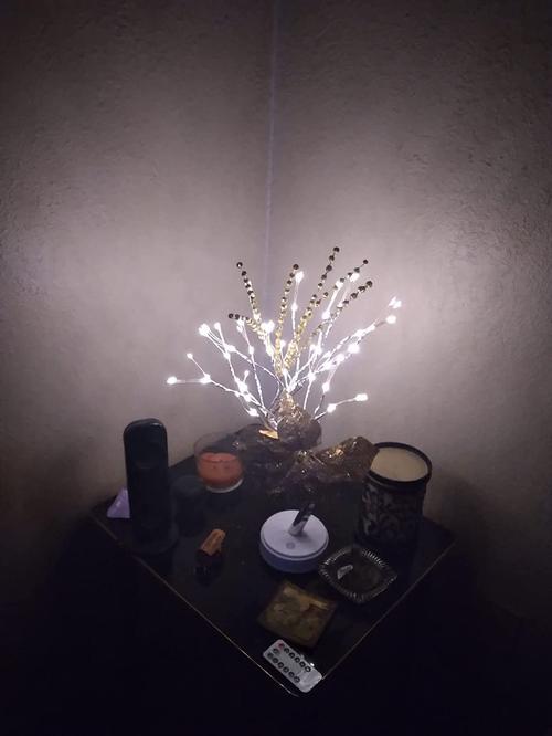 Fairy Light Spirit Tree: LED Tree Lamp for Home Decor photo review