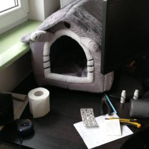 Foldable Small Pet House Bed photo review