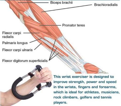 Forearm And Wrist Exerciser For Hand Grip Strengthening