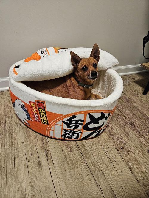 Funny Noodles Small Pet Bed photo review