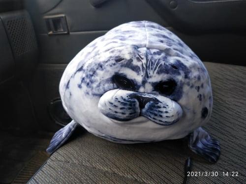 Giant 3D Blob Seal Pillow Soft Hugging Stuffed Cotton Plush Animal Toy photo review