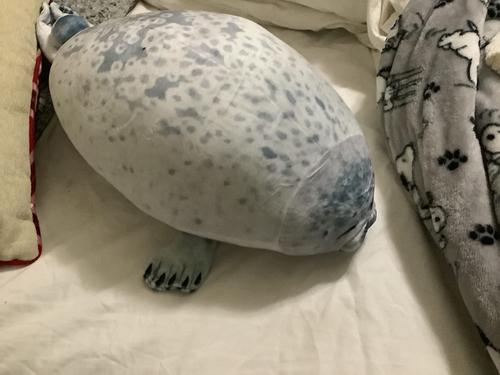 Giant 3D Blob Seal Pillow Soft Hugging Stuffed Cotton Plush Animal Toy photo review