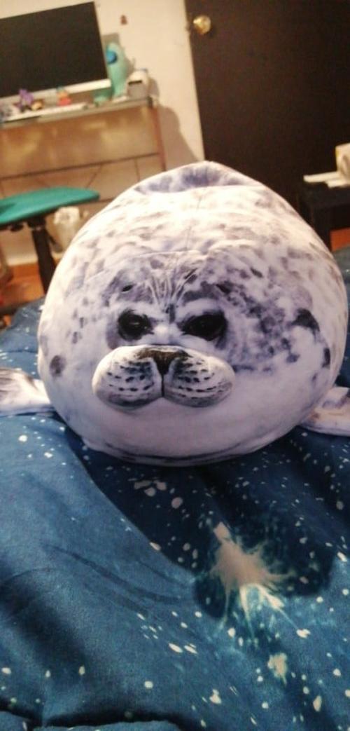 Giant 3D Blob Seal Pillow Soft Hugging Stuffed Cotton Plush Animal Toy photo review