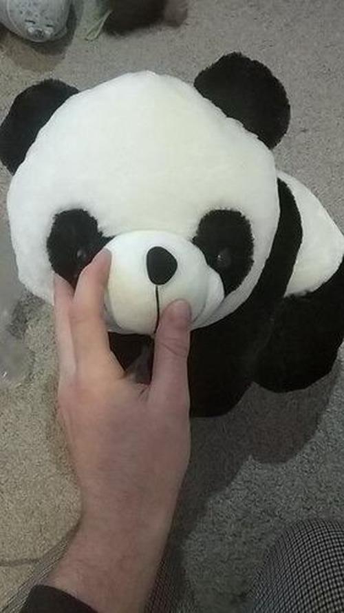 Giant Stuffed Panda Bear - Big Animal Plush photo review