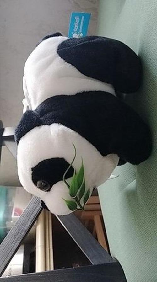 Giant Stuffed Panda Bear - Big Animal Plush photo review