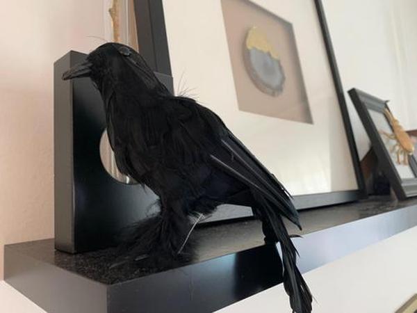 Halloween Black Crows, Realistic Feathered Crow Ravens Prop for Indoor Outdoor Halloween Party Decoration photo review