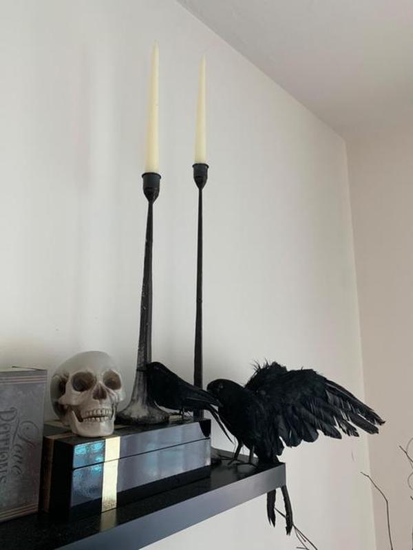 Halloween Black Crows, Realistic Feathered Crow Ravens Prop for Indoor Outdoor Halloween Party Decoration photo review