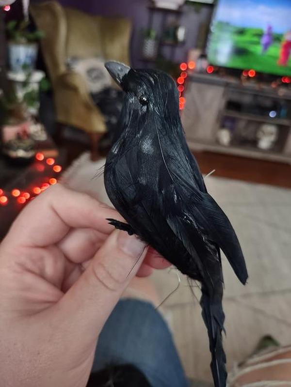 Halloween Black Crows, Realistic Feathered Crow Ravens Prop for Indoor Outdoor Halloween Party Decoration photo review