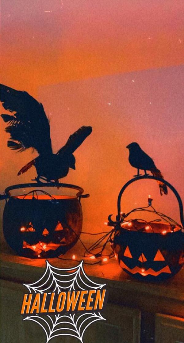 Halloween Black Crows, Realistic Feathered Crow Ravens Prop for Indoor Outdoor Halloween Party Decoration photo review