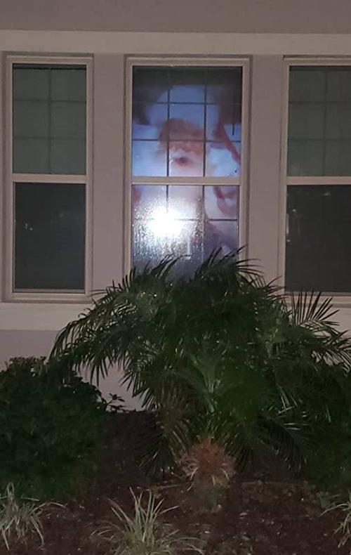 Halloween Christmas Holographic Projection photo review