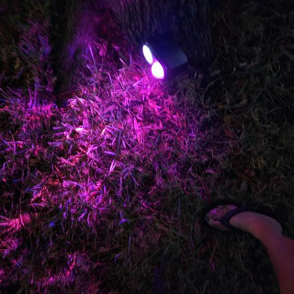 Halloween Christmas Projector Lights Outdoor, Waterproof Holiday Projector Lights, 2-in-1 Moving Patterns LED Landscape Lights photo review