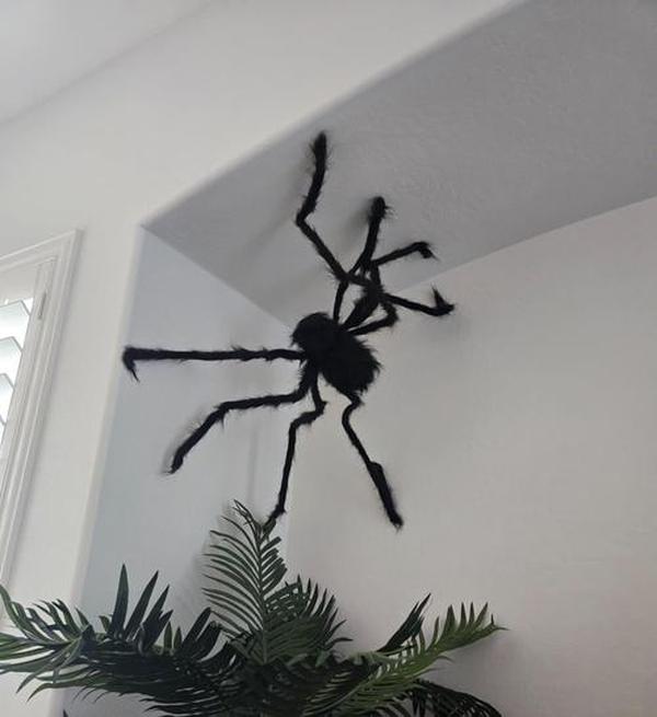 Halloween Outdoor Decorations Hairy Spider, Scary Giant Spider Fake Large Props for Yard Party Decor photo review