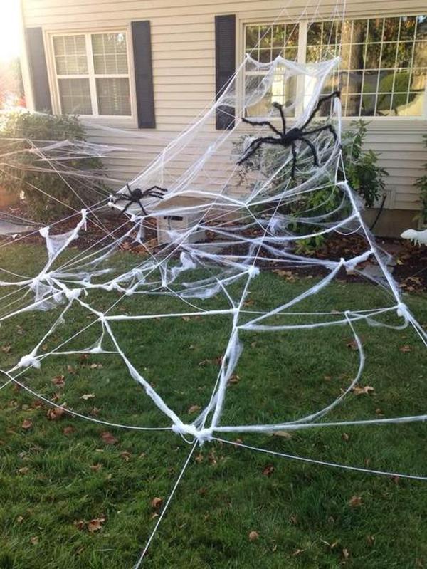 Halloween Outdoor Decorations Hairy Spider, Scary Giant Spider Fake Large Props for Yard Party Decor photo review