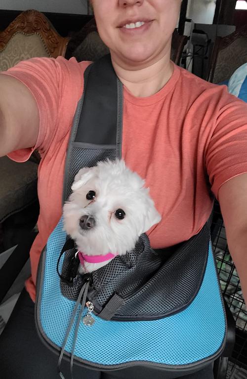 Hands-Free, Adjustable Pet Carrier Sling for Small Dogs and Cats photo review