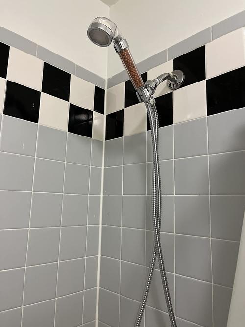 High Pressure Shower Head Filter photo review