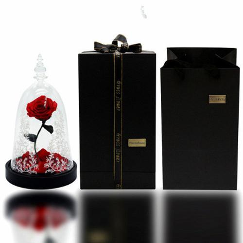 Immortal Enchanted Bell Rose Led Glass Display