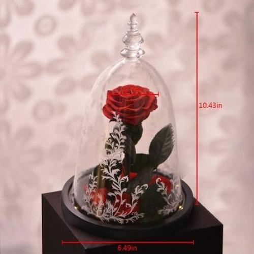 Immortal Enchanted Bell Rose Led Glass Display