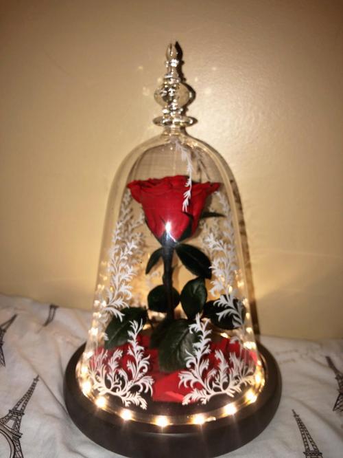 Immortal Enchanted Bell Rose Led Glass Display photo review