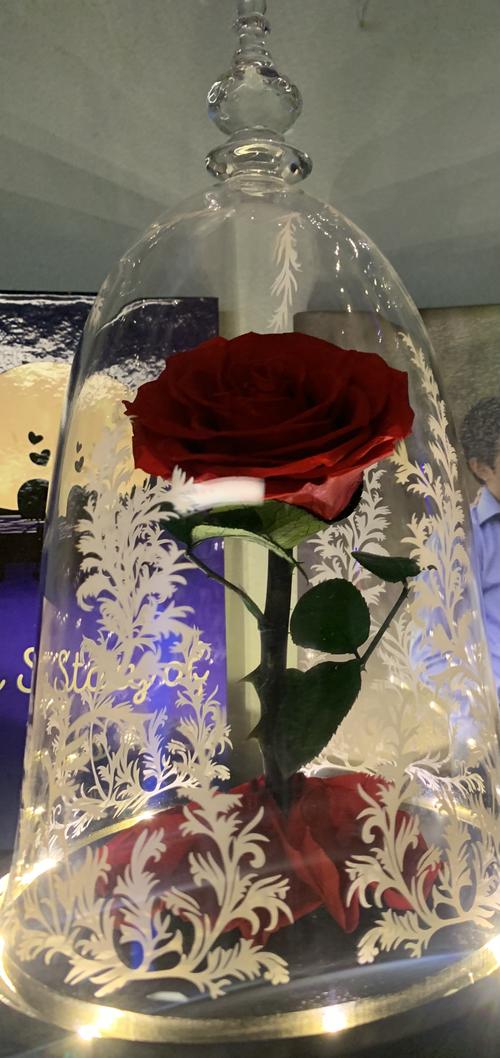 Immortal Enchanted Bell Rose Led Glass Display photo review