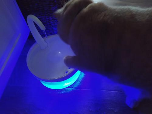 Intelligent Cat Drinking Water Fountain Automatic Circulating Water Dispenser photo review