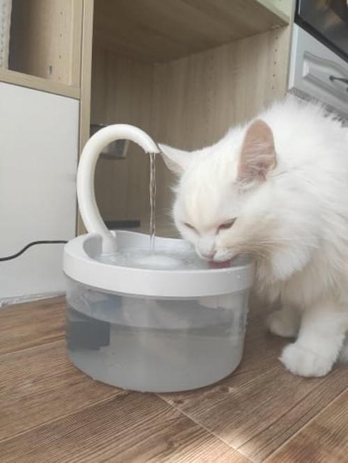 Intelligent Cat Drinking Water Fountain Automatic Circulating Water Dispenser photo review