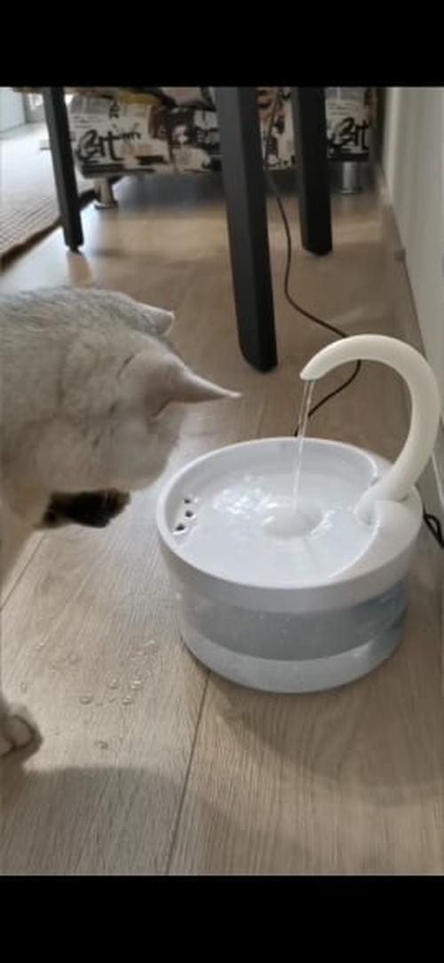 Intelligent Cat Drinking Water Fountain Automatic Circulating Water Dispenser photo review