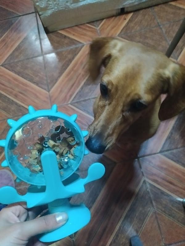 Interactive Treat Leaking Toy for Small Dogs | Slow Feeder & Funny Dog Wheel photo review