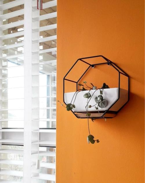 Iron Hanging Succulent Planter Rack for Indoor Outdoor Home Decor photo review