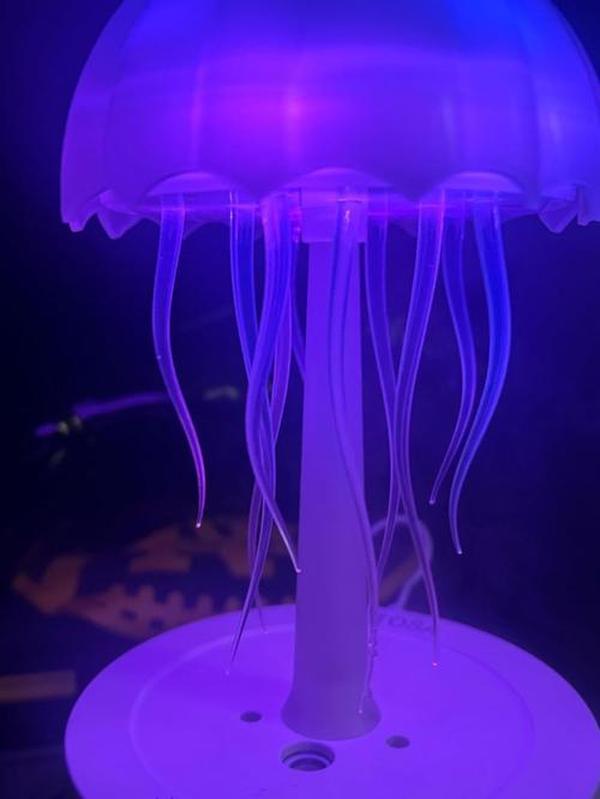 Jellyfish Dance Aromatherapy Essential Oil Diffuser, Ingenious Cute Small Humidifier with 7 Colors Night Light photo review