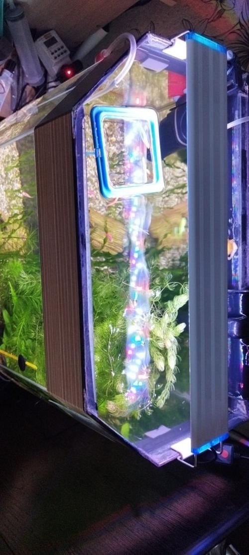 Led Aquarium Fish Tank Light photo review