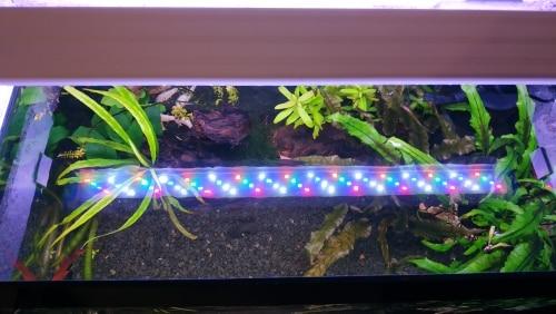 Led Aquarium Fish Tank Light photo review