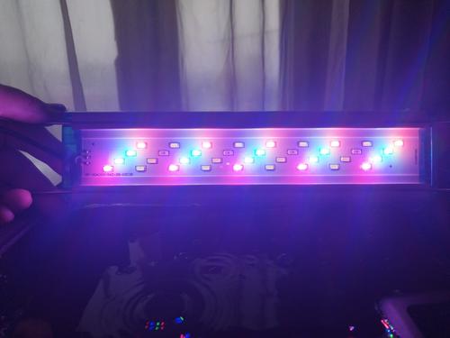 Led Aquarium Fish Tank Light photo review