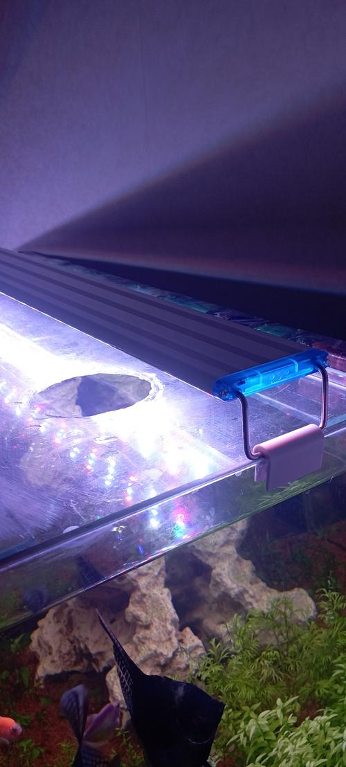 Led Aquarium Fish Tank Light photo review